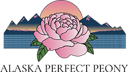 Alaska Perfect Peony