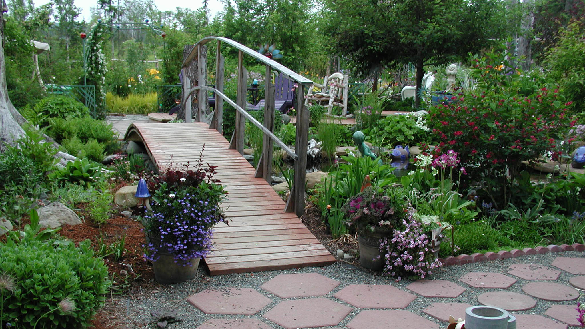 Alaska Perfect Peonies