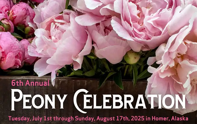 Peony Celebration