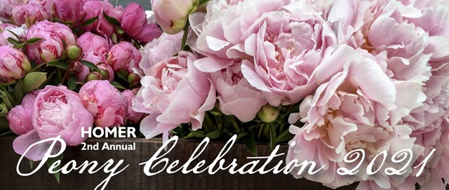 Peony Celebration