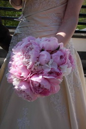 Pink Peonies in Vase