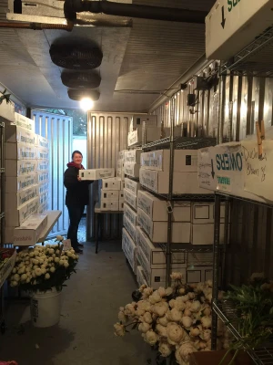 Newest cooler working out great.