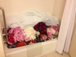 Where did all the peony bouquets come from? Checked luggage of 400 peonies and kept them in my hotel bath tub.