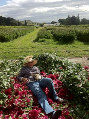 A hard day of deadheading in New Zealand.