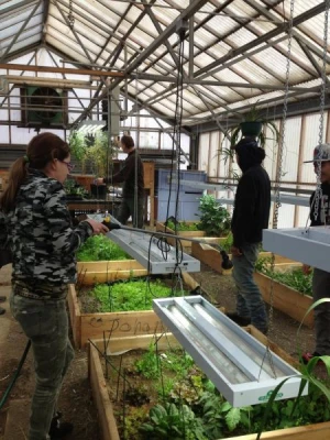 Helping out at the Homer High School Greenhouse.