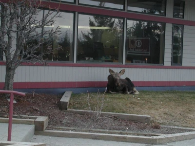 Anybody know what time the bank opens?                                                                         