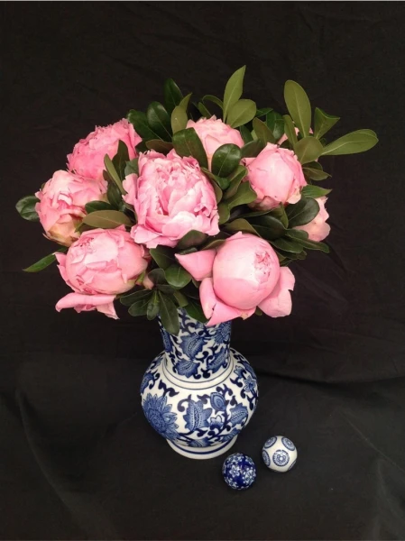 Pink Perfection Subscription