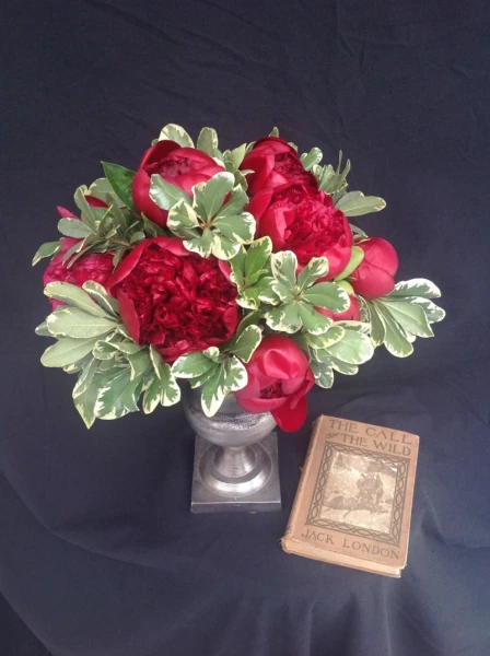 Royal Red Subscription